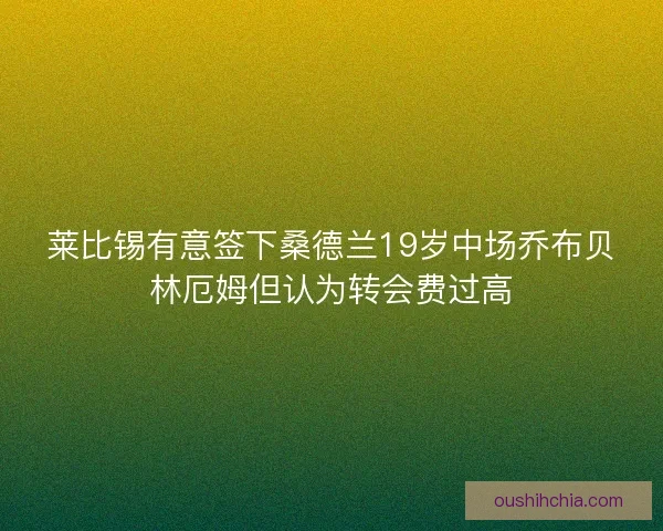 莱比锡有意签下桑德兰19岁中场乔布贝林厄姆但认为转会费过高