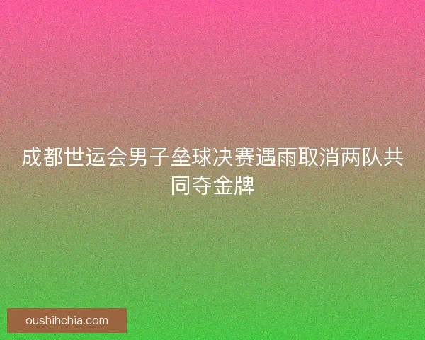 成都世运会男子垒球决赛遇雨取消两队共同夺金牌 成都世运会男子垒球决赛遇雨取消两队共同夺金牌