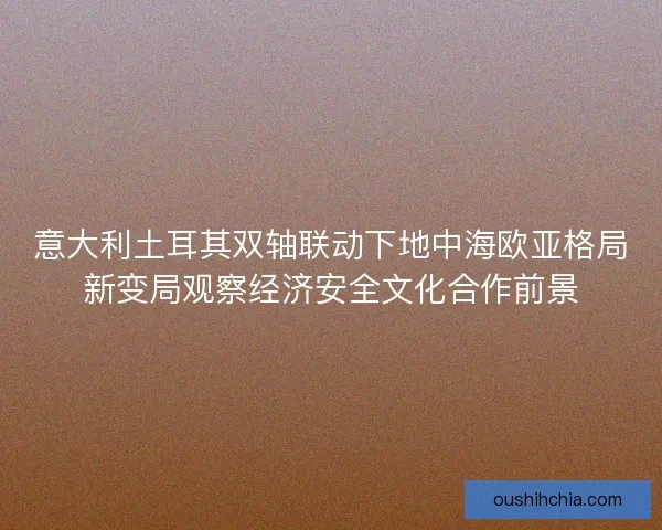 意大利土耳其双轴联动下地中海欧亚格局新变局观察经济安全文化合作前景